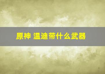 原神 温迪带什么武器